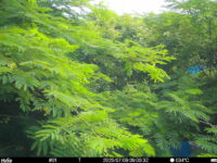 Jul 9 2025  9:00:31, #01
