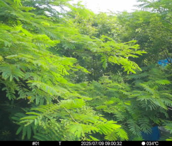 Jul 9 2025  9:00:31, #01