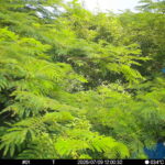 Jul 9 2025 12:00:32, #01