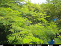 Jul 9 2025 12:00:32, #01