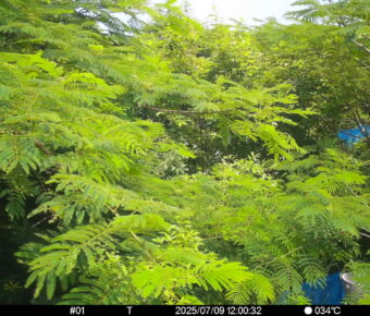 Jul 9 2025 12:00:32, #01