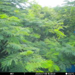 Jul 9 2025 15:00:31, #01