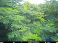 Jul 9 2025 15:00:31, #01