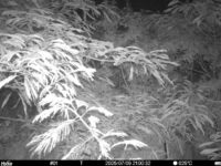 Jul 9 2025 21:00:32, #01