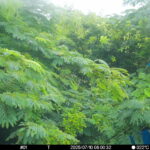Jul 10 2025  6:00:32, #01