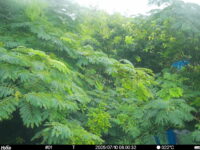 Jul 10 2025  6:00:32, #01