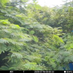 Jul 10 2025  9:00:31, #01