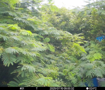 Jul 10 2025  9:00:31, #01