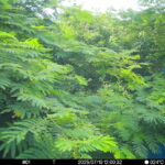 Jul 10 2025 12:00:32, #01