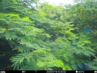 Jul 10 2025 12:00:32, #01