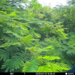 Jul 10 2025 15:00:31, #01