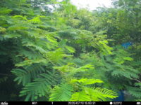Jul 10 2025 15:00:31, #01