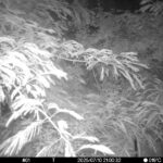 Jul 10 2025 21:00:32, #01