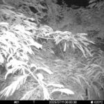 Jul 11 2025  0:00:30, #01