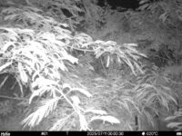 Jul 11 2025  0:00:30, #01