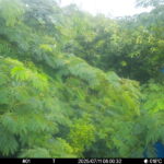 Jul 11 2025  6:00:32, #01
