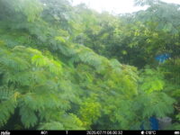 Jul 11 2025  6:00:32, #01