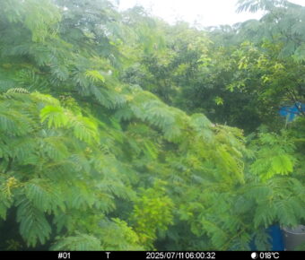 Jul 11 2025  6:00:32, #01
