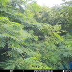 Jul 11 2025  9:00:32, #01