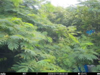Jul 11 2025  9:00:32, #01