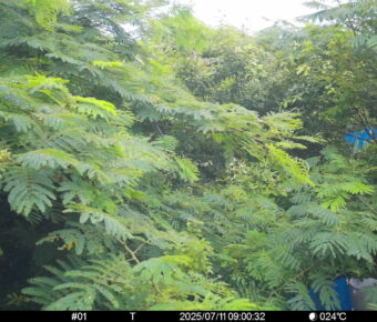Jul 11 2025  9:00:32, #01