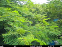 Jul 11 2025 12:00:32, #01