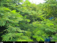 Jul 11 2025 15:00:31, #01