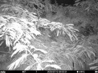 Jul 12 2025  0:00:31, #01
