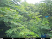 Jul 12 2025  6:00:32, #01