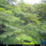 Jul 12 2025  9:00:31, #01