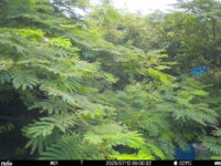 Jul 12 2025  9:00:31, #01