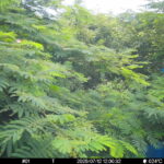 Jul 12 2025 12:00:32, #01
