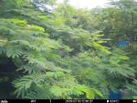 Jul 12 2025 12:00:32, #01