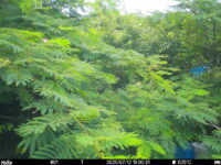 Jul 12 2025 15:00:31, #01