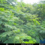 Jul 13 2025  6:00:32, #01