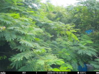 Jul 13 2025  6:00:32, #01