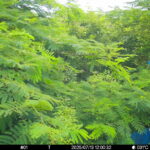 Jul 13 2025 12:00:32, #01