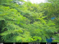 Jul 13 2025 12:00:32, #01