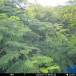 Jul 13 2025 18:00:31, #01