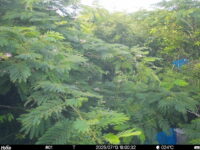 Jul 13 2025 18:00:31, #01
