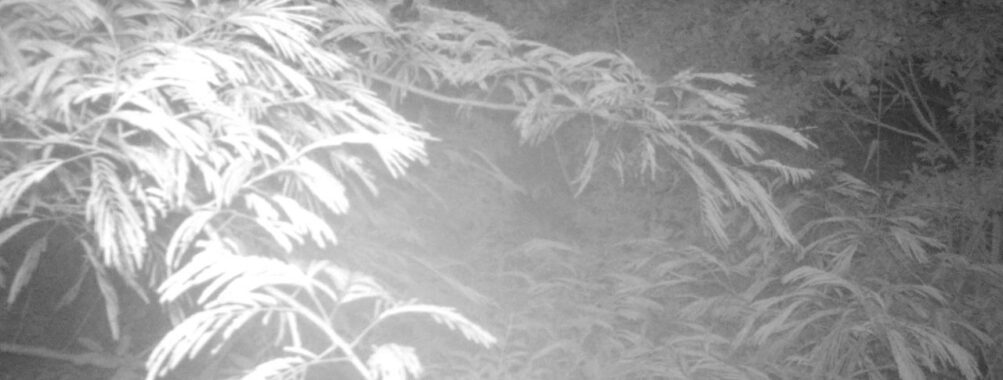 Jul 13 2025 21:00:32, #01