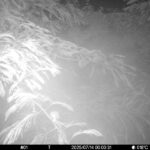 Jul 14 2025  0:00:31, #01