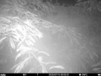 Jul 14 2025  0:00:31, #01