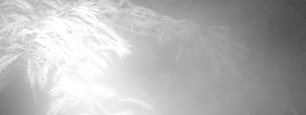 Jul 14 2025  3:00:30, #01