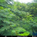 Jul 14 2025  6:00:32, #01