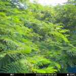 Jul 14 2025  9:00:31, #01