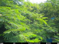 Jul 14 2025  9:00:31, #01
