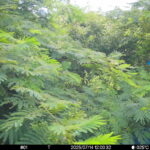 Jul 14 2025 12:00:32, #01