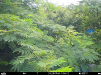 Jul 14 2025 12:00:32, #01
