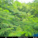 Jul 14 2025 15:00:32, #01